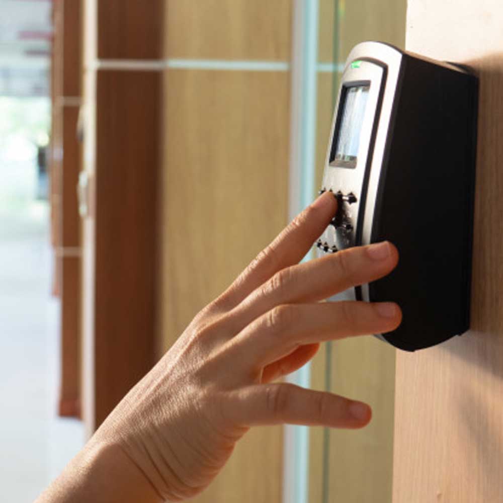 tentogo acceso numerico